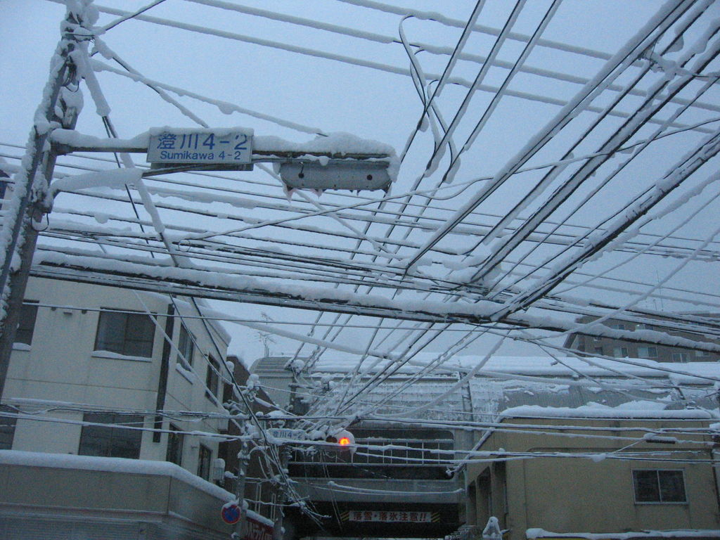 電線に雪
小さな交差点にも結構な電線があるものです。
キーワード: 雪景色 札幌エリア
