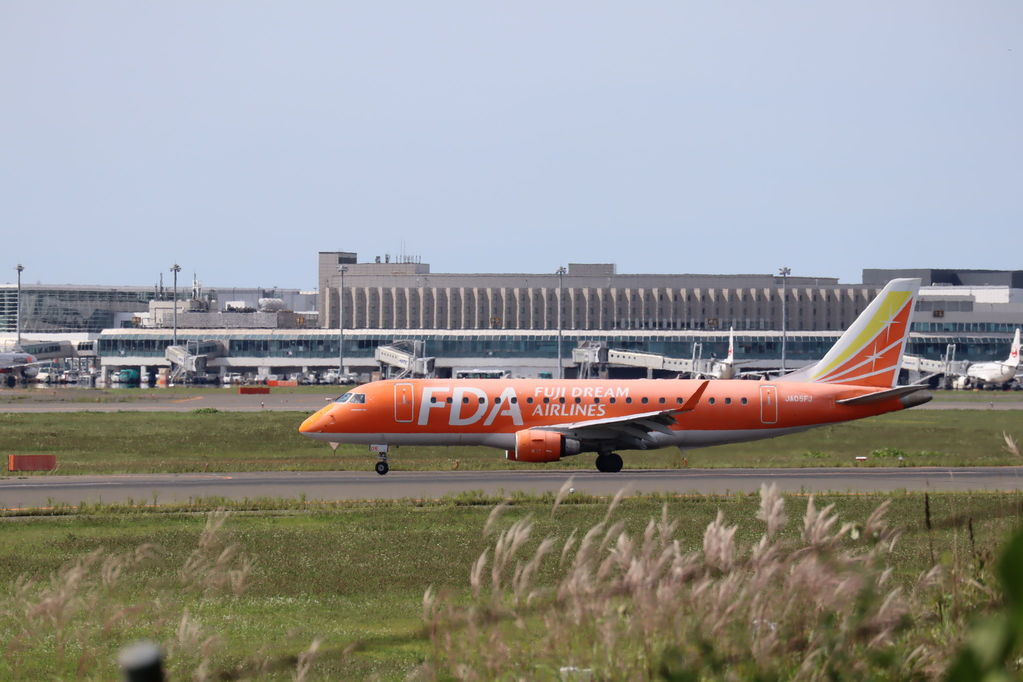 オレンジのFDA
キーワード: FDA