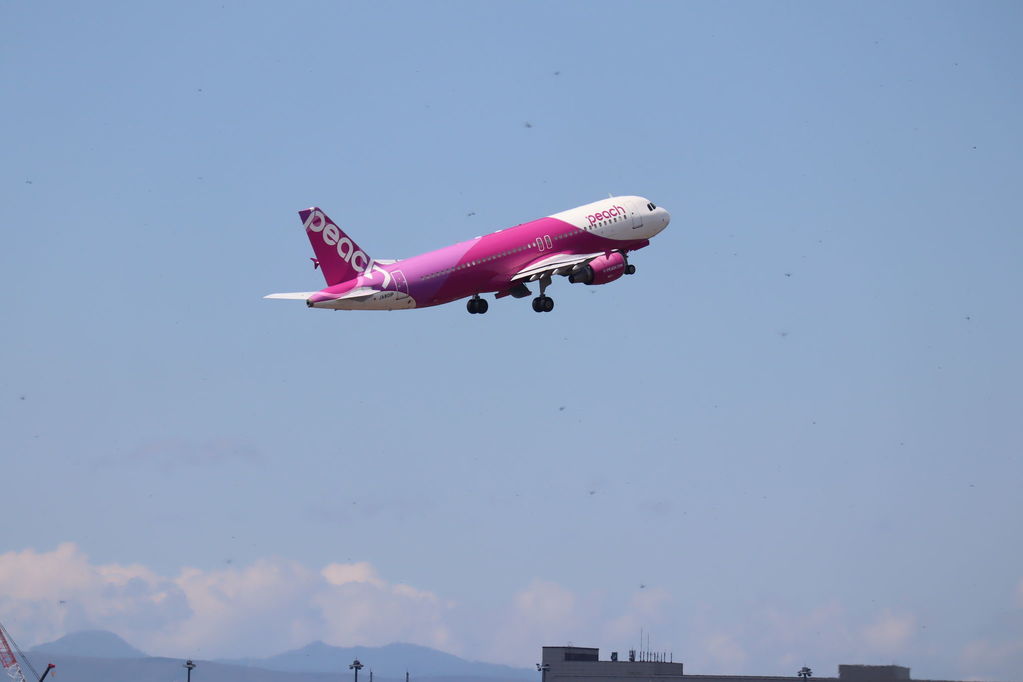 peach
キーワード: peach