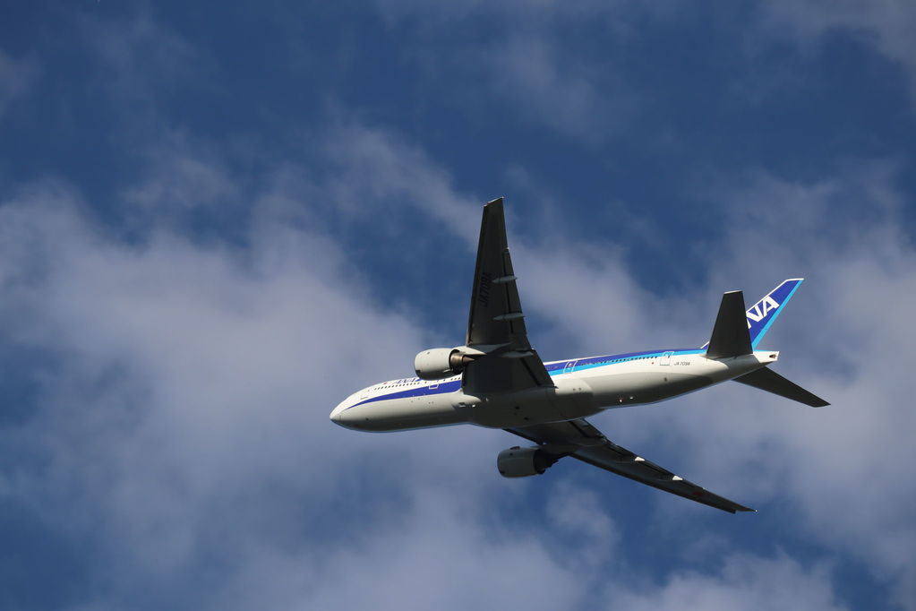 ANA
キーワード: ANA