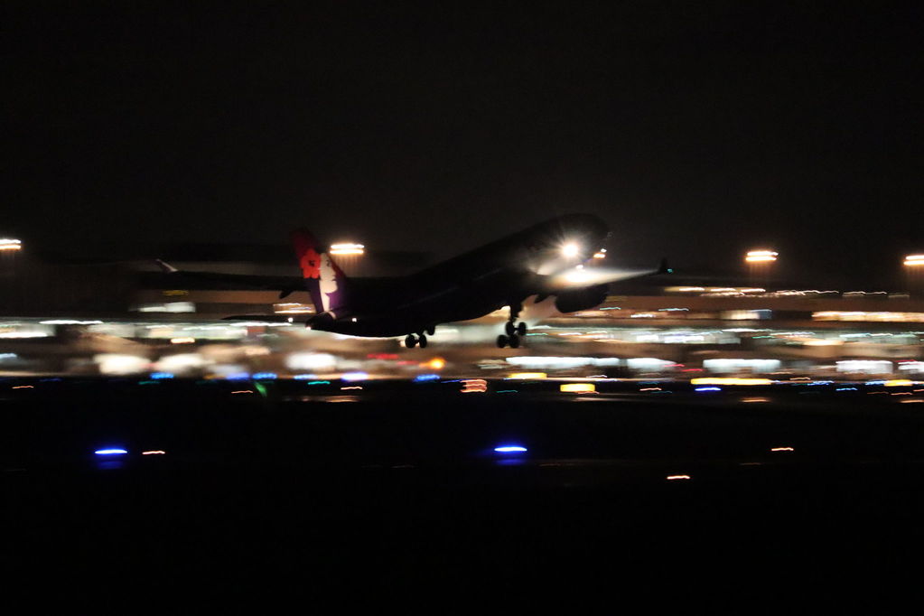  ハワイアン
キーワード: HAWAIIAN