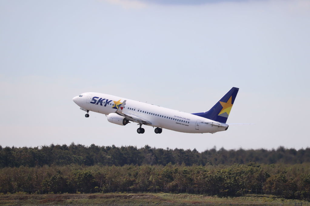 SKYMARK
キーワード: SKYMARK