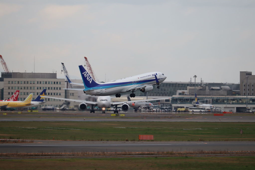 ANA
キーワード: ANA