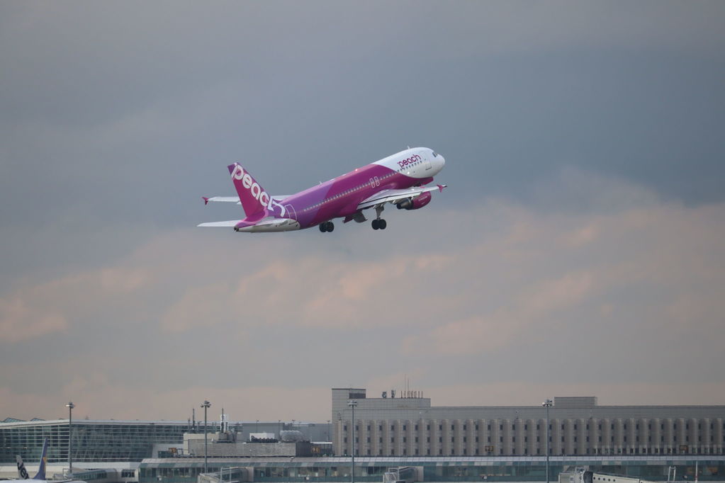 paech
キーワード: peach