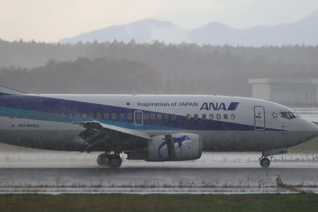 ANA
キーワード: ANA