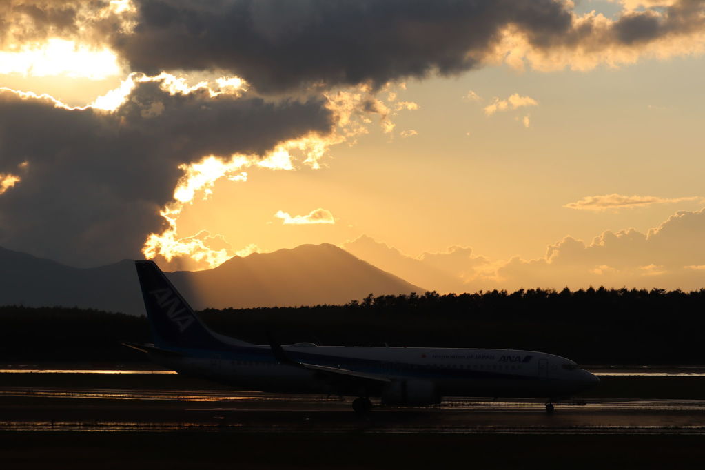 ANA
キーワード: ANA