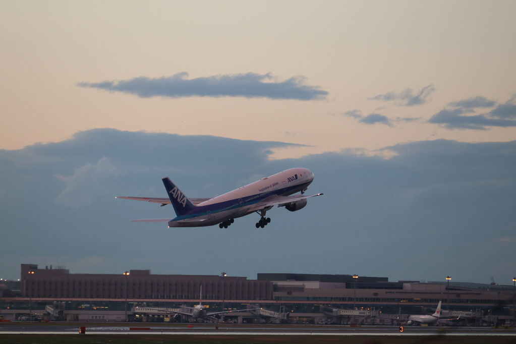 ANA
キーワード: ANA