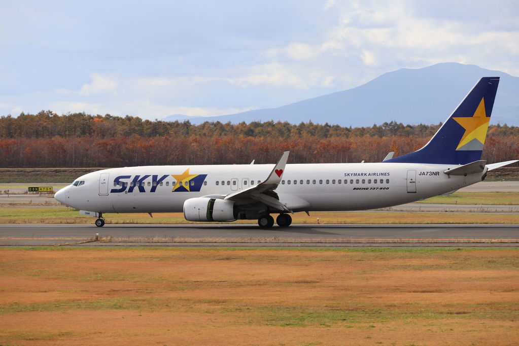 SKYMARK
ウイングレットは赤のハート
キーワード: SKYMARK