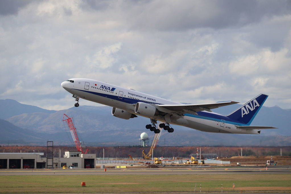 ANA
キーワード: ANA