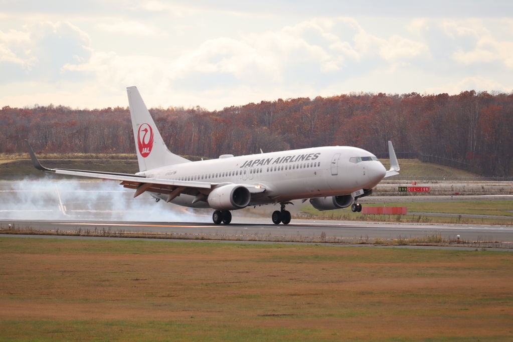 JAL
キーワード: JAL