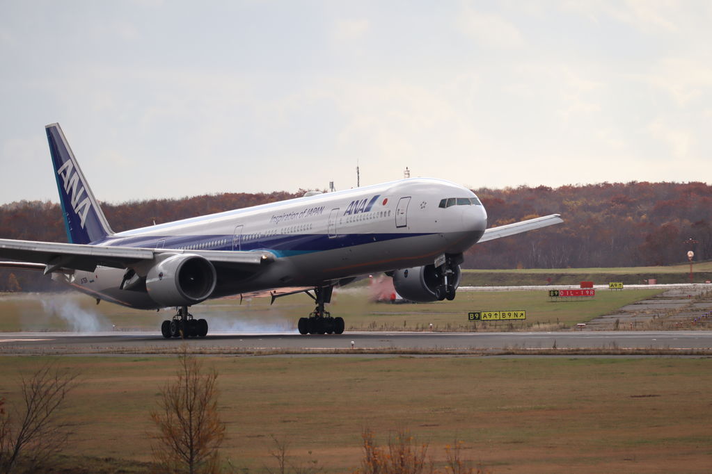 ANA
キーワード: ANA