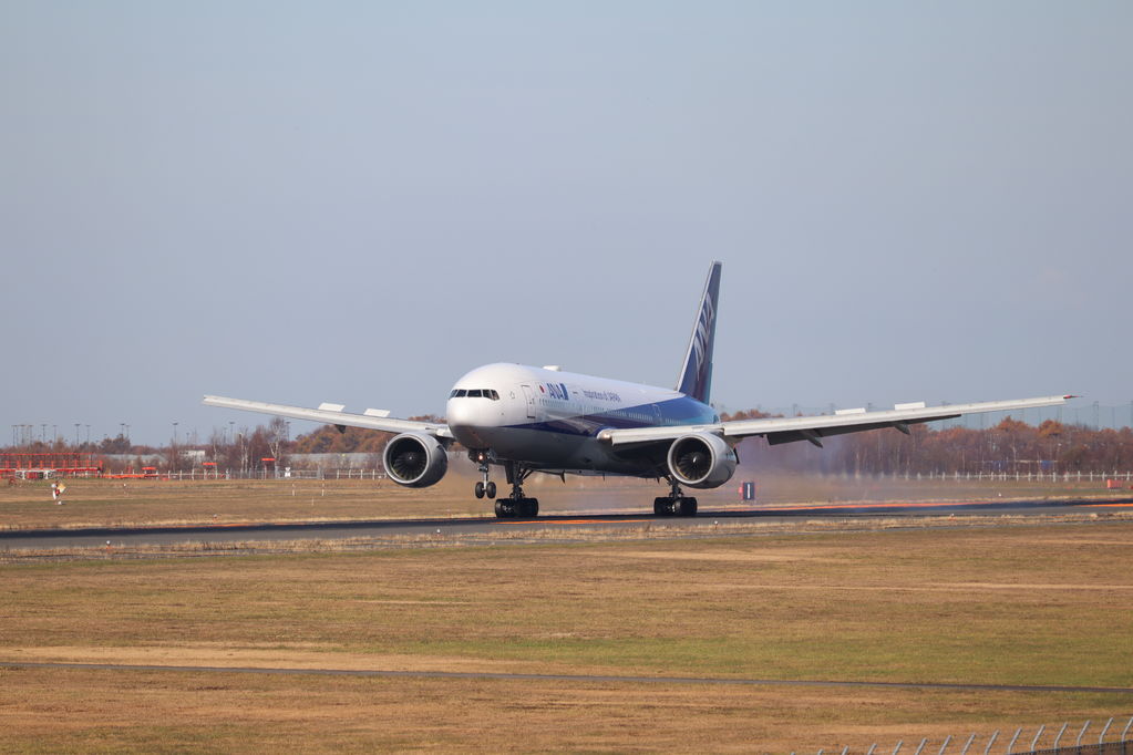 ANA
キーワード: ANA