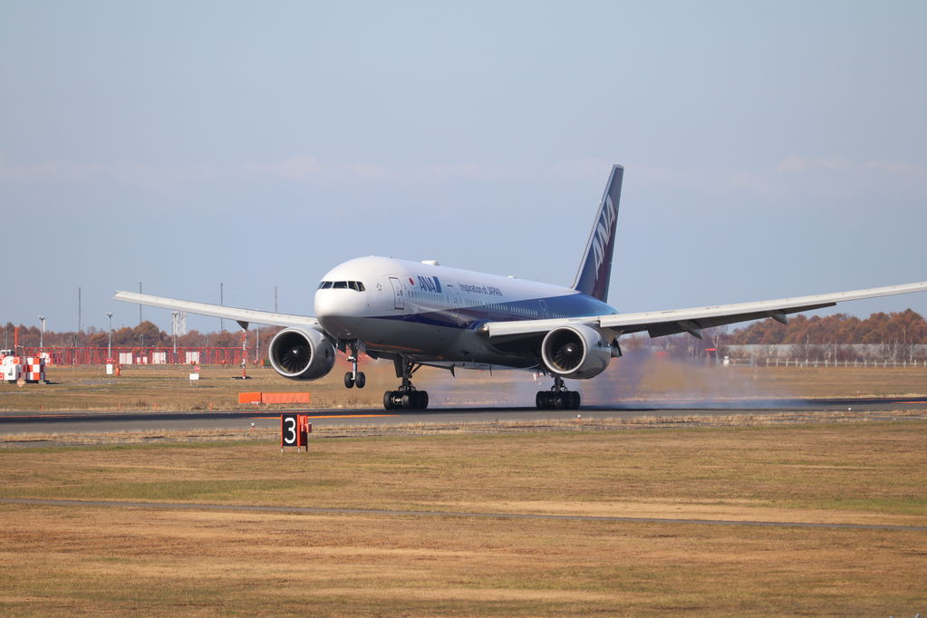 ANA
キーワード: ANA