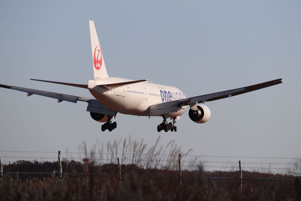 JAL one world
キーワード: JAL