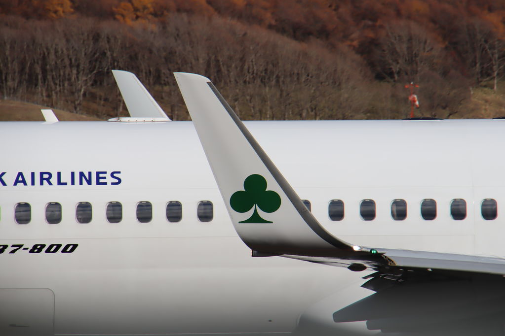 SKYMARK
ウイングレットはクローバー
キーワード: SKYMARK