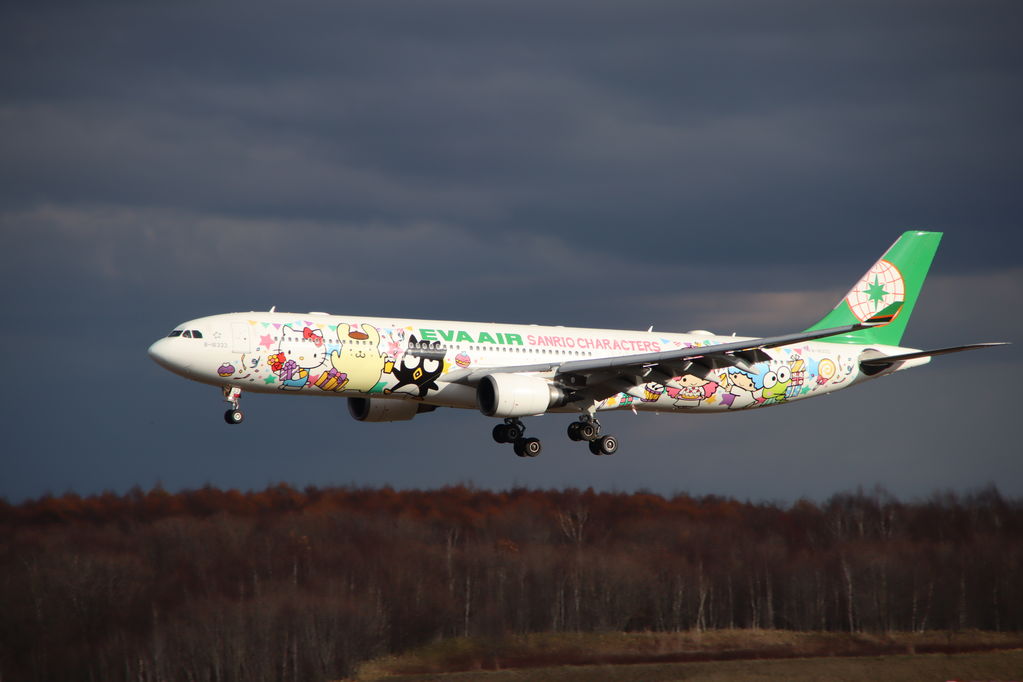 EVA AIR SANRIO CHARACTERS
キーワード: EVA