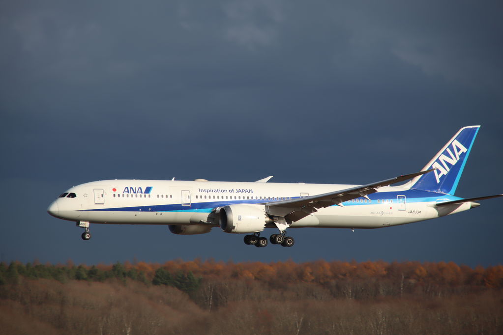 ANA
キーワード: ANA