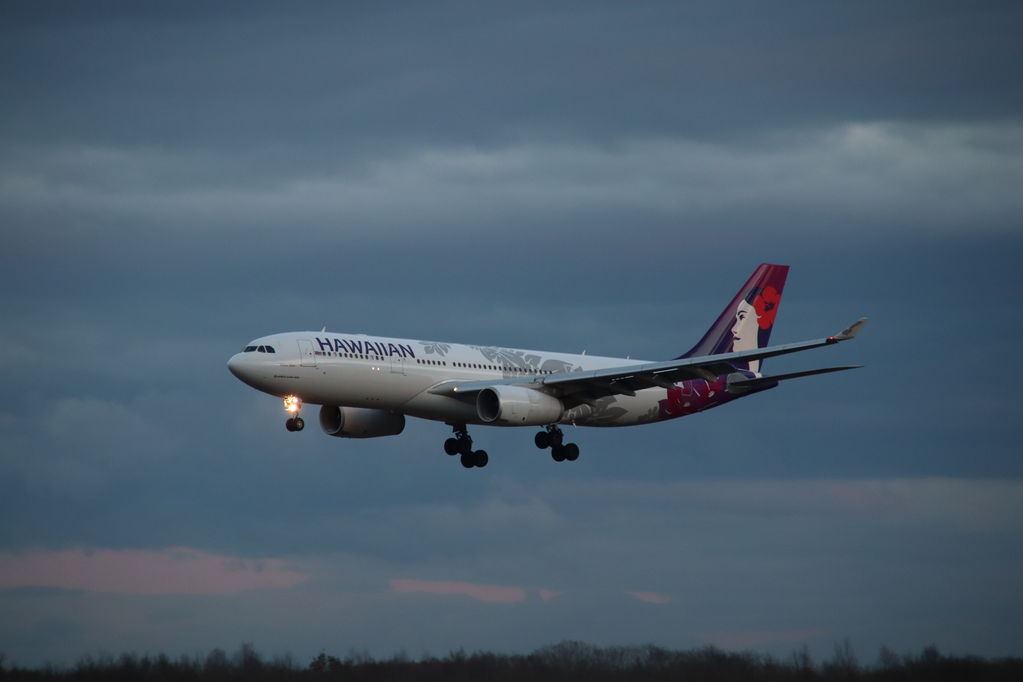 ハワイアン
キーワード: HAWAIIAN