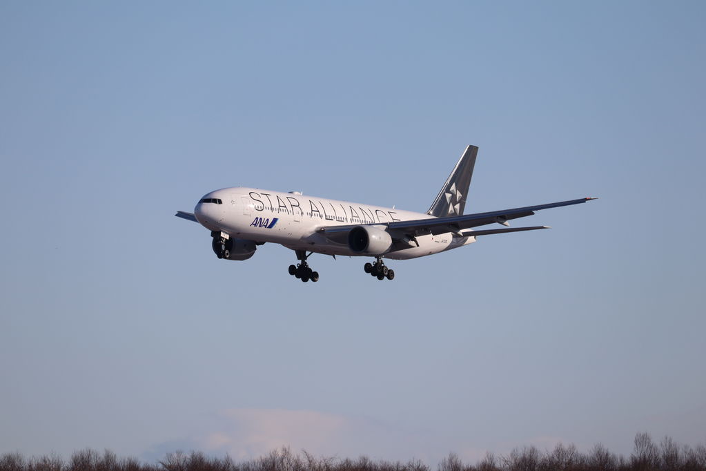 ANA
キーワード: ANA