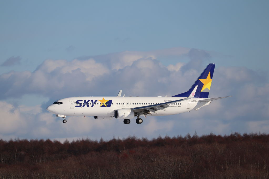 SKYMARK
ウイングレットはサクラ
キーワード: SKYMARK