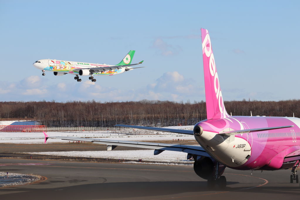 EVA AIR と peach
キーワード: EVA peach