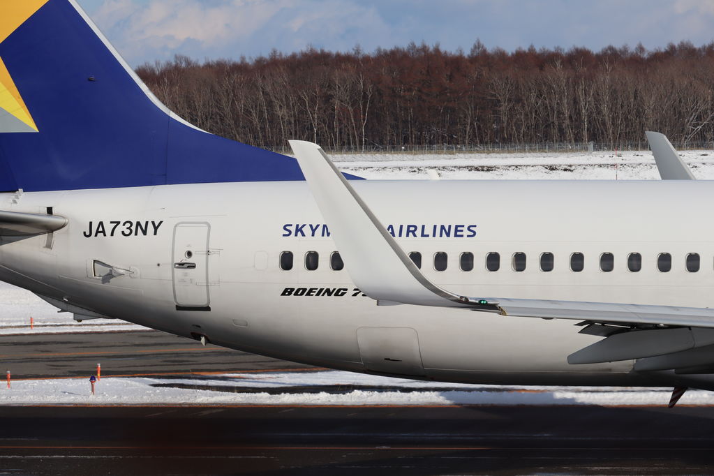 SKYMARK
ウイングレットは無地
キーワード: SKYMARK