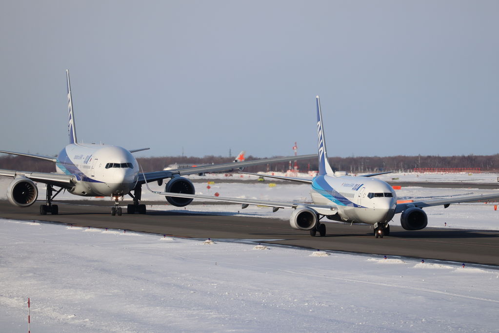 ANA
キーワード: ANA