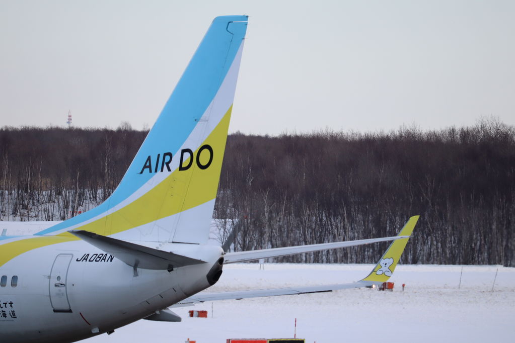 AirDo
キーワード: AirDo