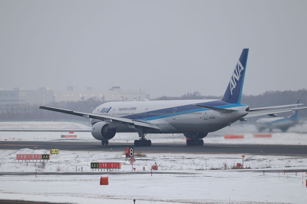 ANA
キーワード: ANA