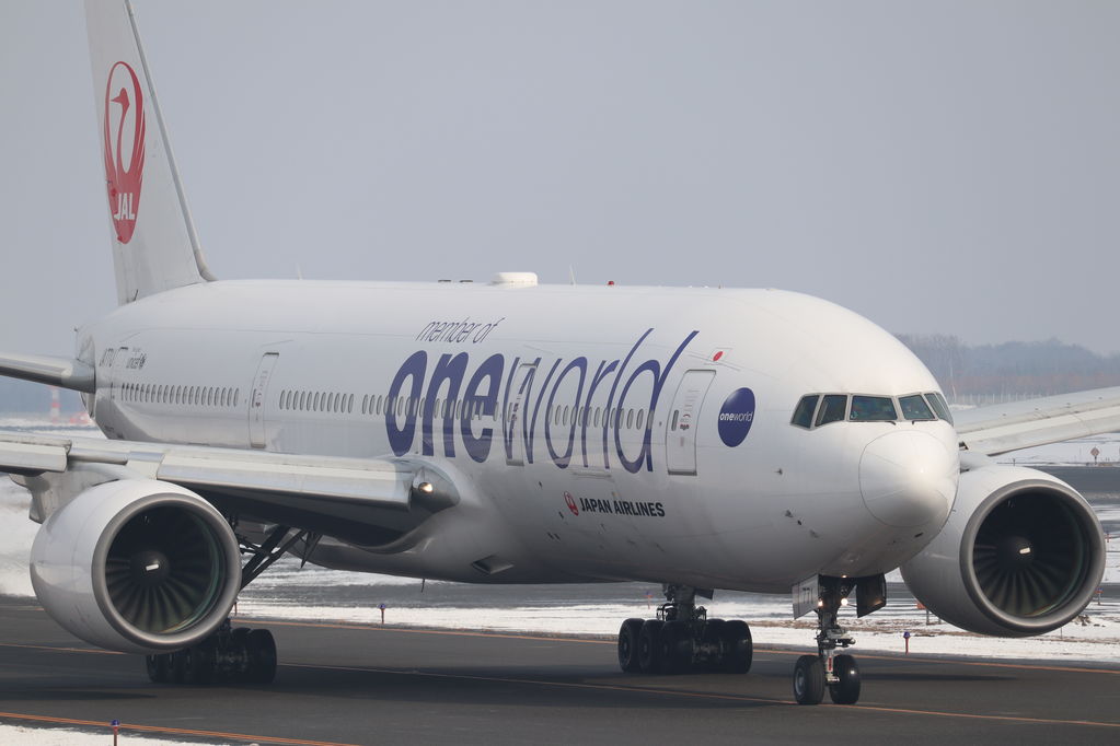JAL oneworld
キーワード: JAL oneworld