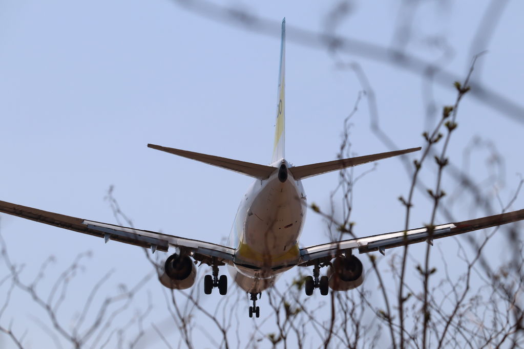 AirDo
キーワード: AirDo