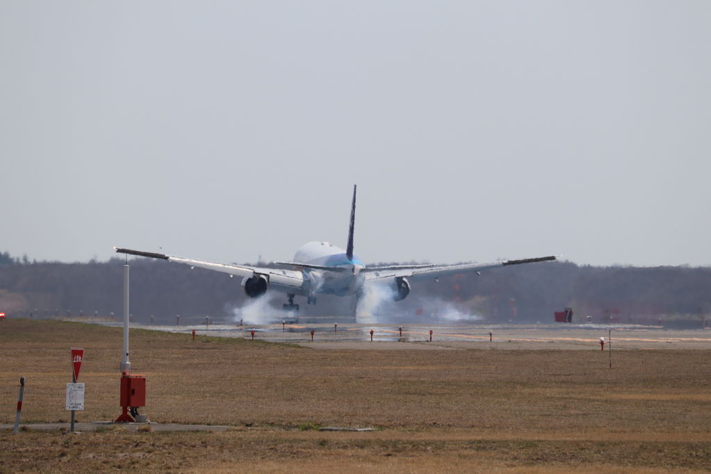 ANA
キーワード: ANA