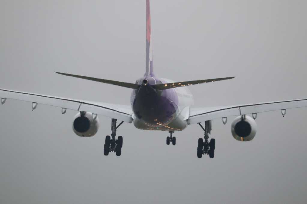 THAI
キーワード: THAI