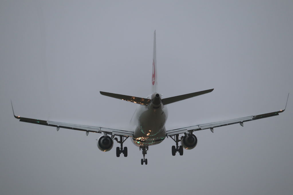 JAL
キーワード: JAL