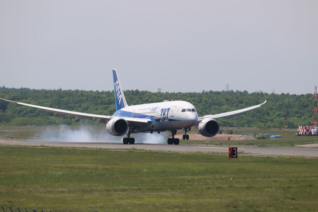 ANA
キーワード: ANA