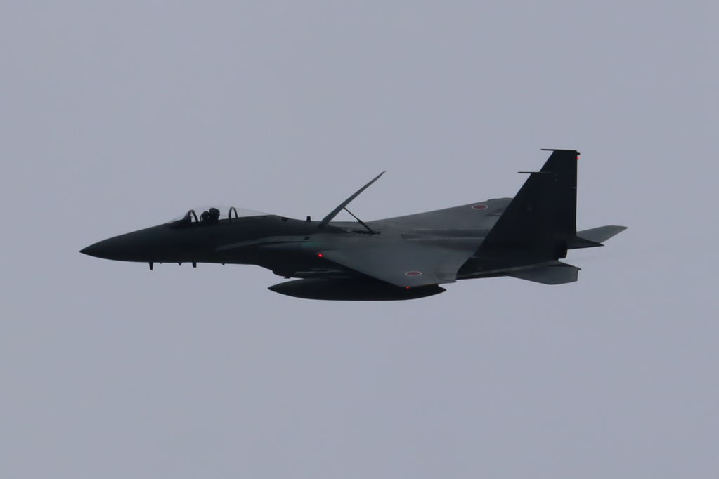Mitsubishi F-15J Eagle
