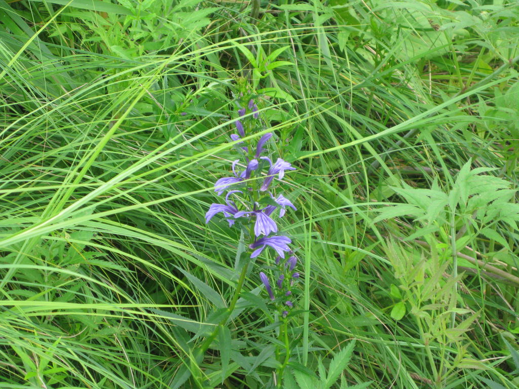釧路湿原 温根内
