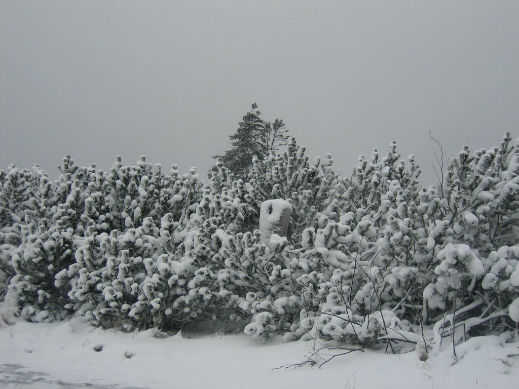 中山峠
キーワード: 後志エリア 冬景色
