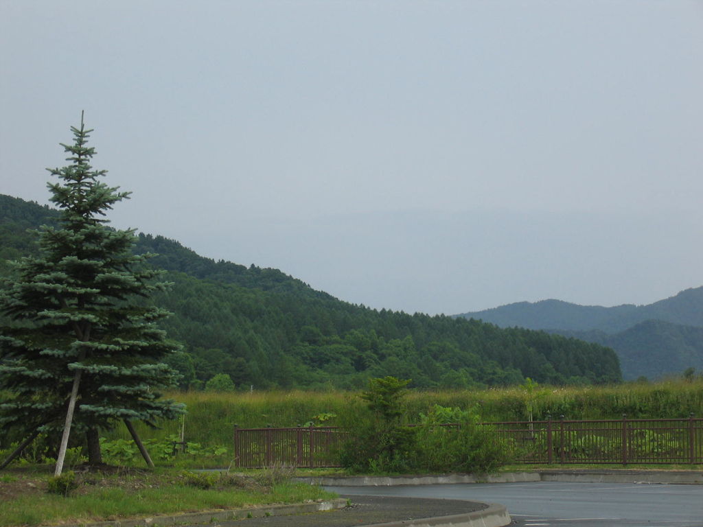 緑泉
キーワード: 空知エリア