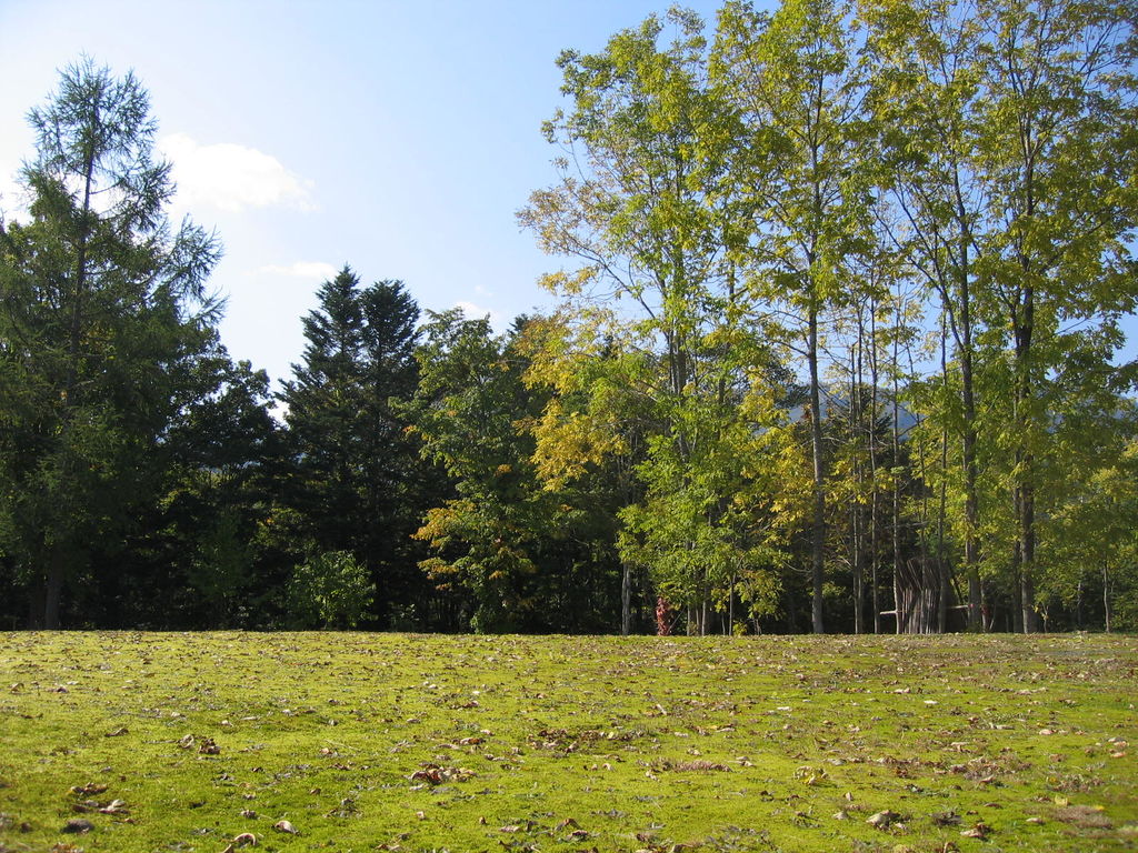 道民の森
キーワード: 石狩エリア