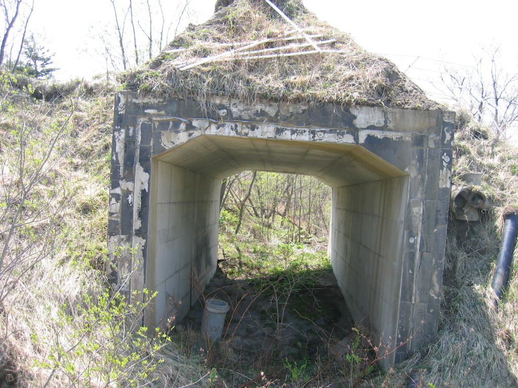 洞爺湖西山火口
キーワード: 胆振エリア