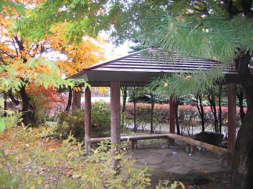 清田公園
キーワード: 札幌エリア 紅葉