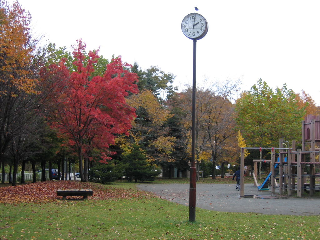 キーワード: 札幌エリア 紅葉