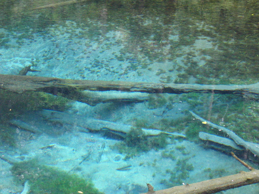 清里町 神の子池
コバルトブルーがきれい。

