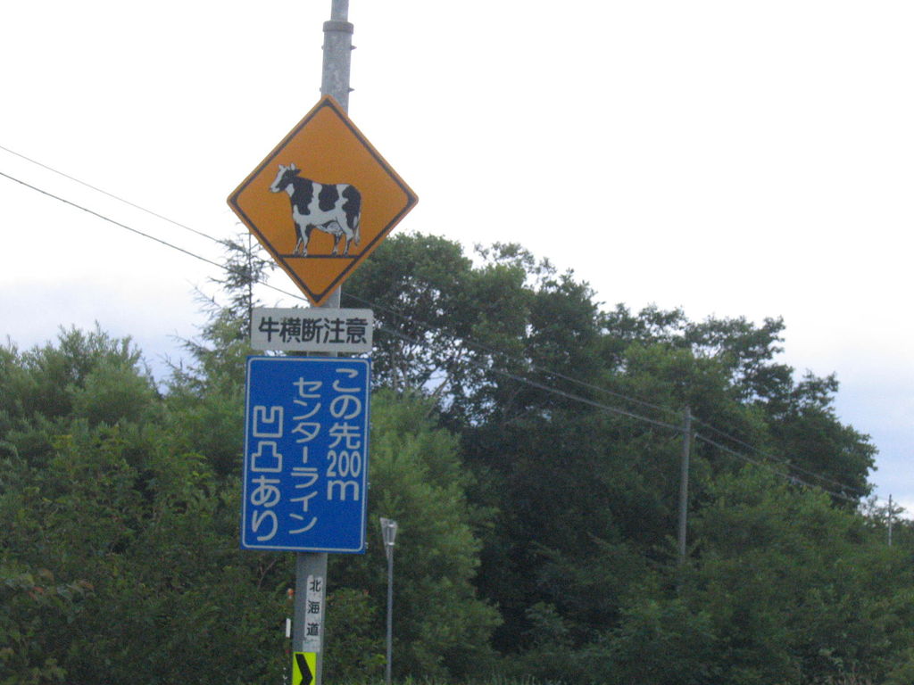 標茶町の交通標識
牛横断注意の標識は、道道にもありますが、本当に横断することがあり、行列が終わるまで一時停止しなければなりません。
